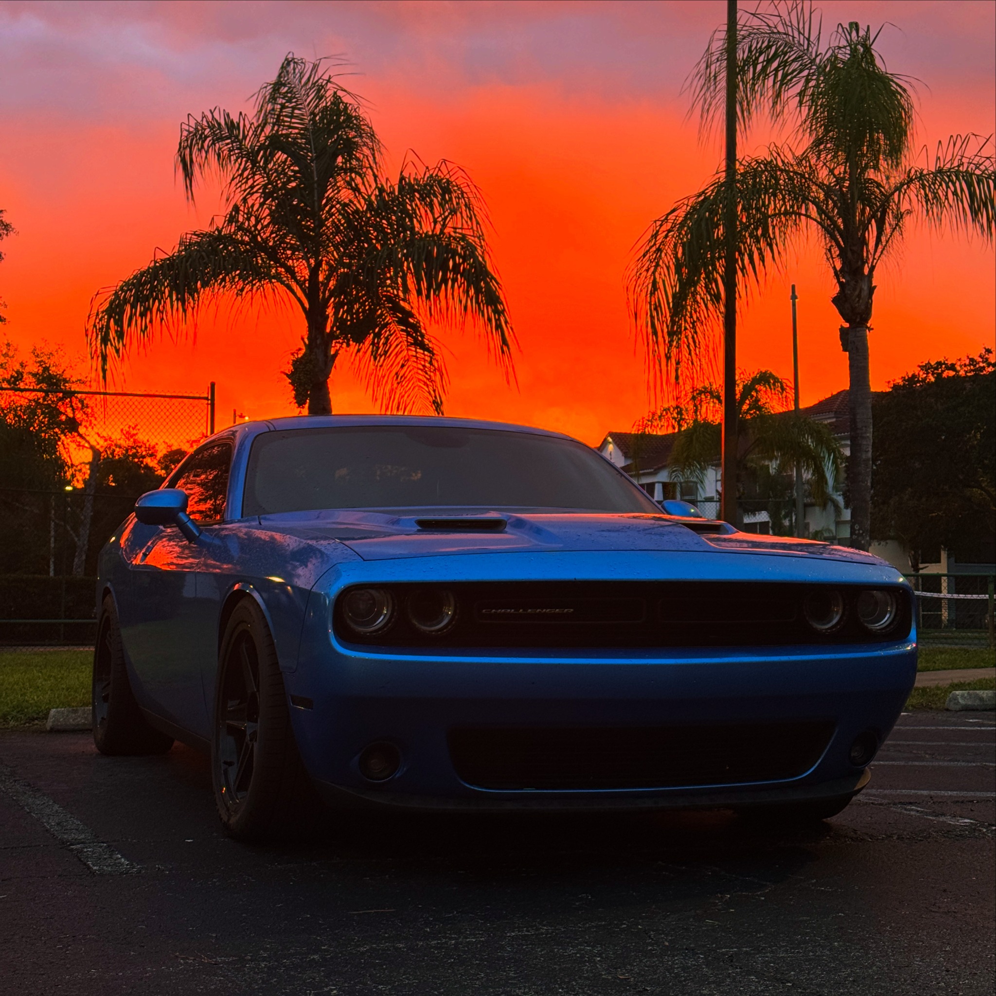 Blue Dodge Challenger under a fiery Florida sunset